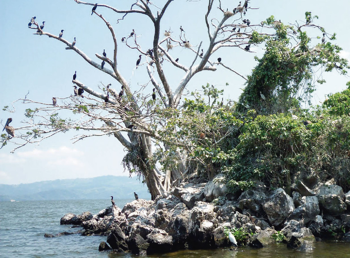 ESCAPADA VERACRUZ 
