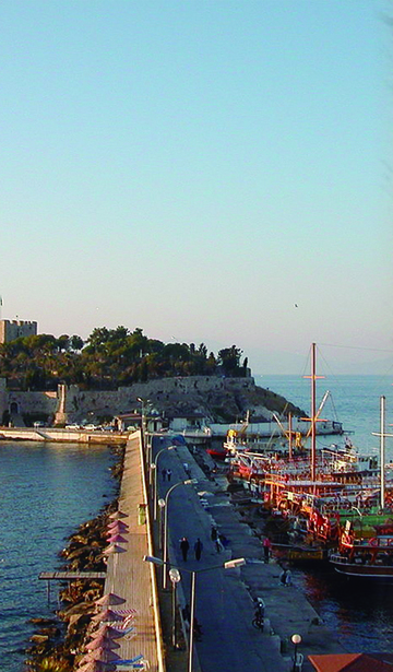 Image description