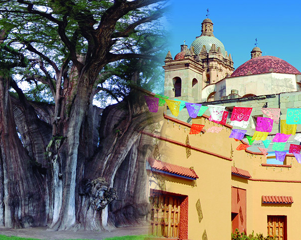 <span style="font-weight: bold;">Oaxaca Mixteca y Zapoteca con Pueblo Magico</span>