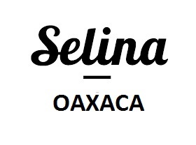 <span style="font-weight: bold;">Hoteles Selina OAXACA </span>